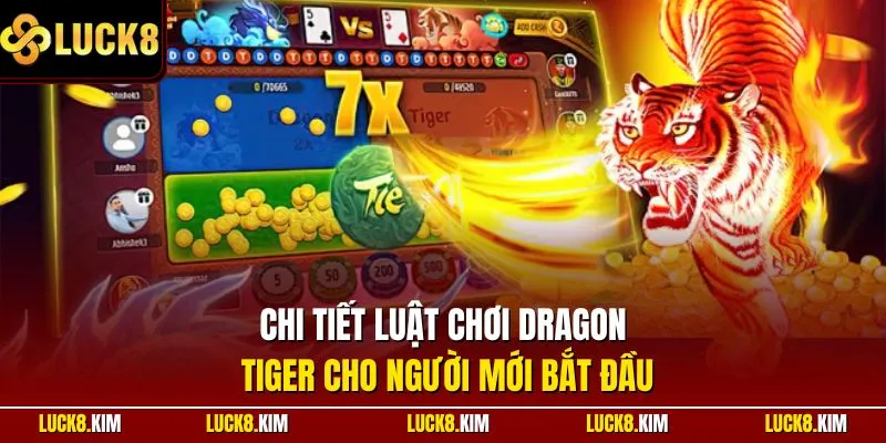 Chi tiết luật chơi Dragon Tiger cho người mới bắt đầu