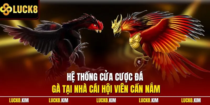 Hệ thống cửa cược đá gà tại nhà cái hội viên cần nắm