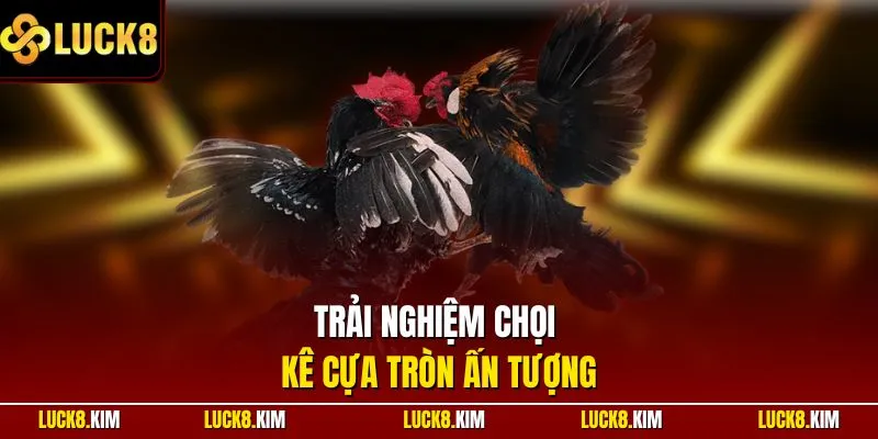 Trải nghiệm chọi kê cựa tròn ấn tượng